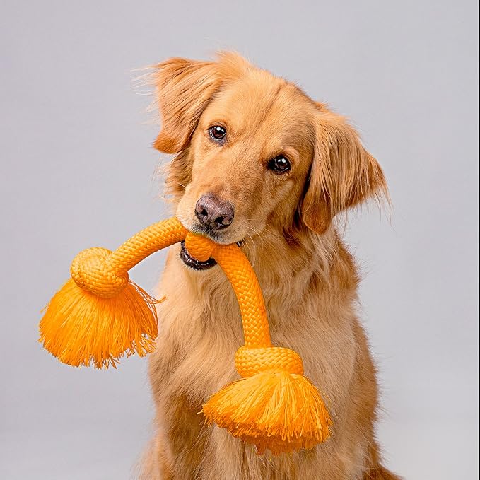 Playology Dog Toys | Dri-Tech Rope Toy Tug of War Rope for Aggressive Chewers | Jumbo Cheddar Cheese Scented Toy - Easy to Clean and Made from Non Toxic Materials