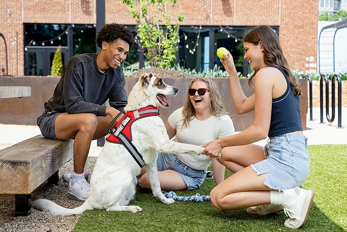 Support Pets The Only Official ESA™ Dog Harness – Adjustable No-Pull Dog Vest for Easy Pet Recognition with Reflective Straps – Soft, Padded & Comfortable for Training and Daily Use - Small