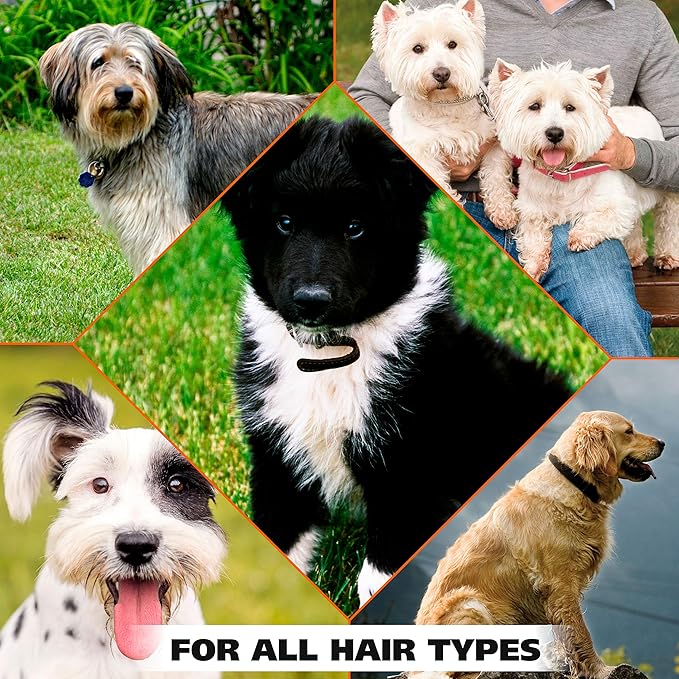 Wahl USA Deodorizing & Refreshing Pet Deodorant for Dogs - Eucalyptus & Spearmint Scent to Refresh the Skin and Coat - Model 820011A