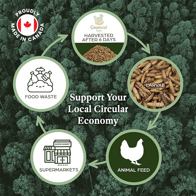 Dried Black Soldier Fly Larvae Chicken Treats for Hens, Duck, Wild Birds, Lizard, Tortoise, Fish - All Natural High Protein Dried Mealworms Alternative - Made in North America