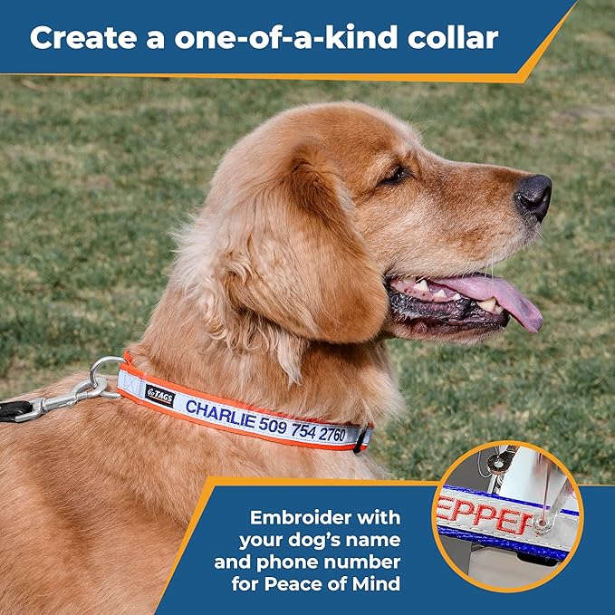 GoTags Reflective Personalized Dog Collar, Custom Embroidered with Pet Name and Phone Number in Blue for Boy and Girl Dogs, Adjustable Small