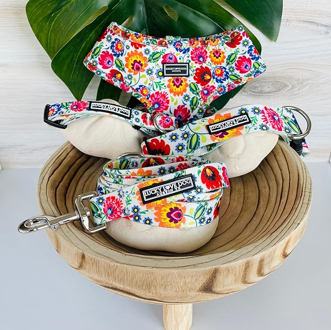 Lucky Love Dog - Adjustable Dog Collar with Easy Click Buckle for Small to Large Ones, Durable, & Comfortable for Male & Female Dogs, Pet Collar for Puppies & Adult Dogs - Ladybird, Medium