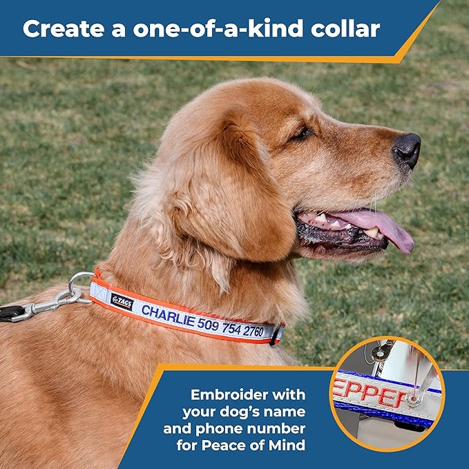 GoTags Reflective Personalized Dog Collar, Custom Embroidered Safety Collar with Pet Name and Phone Number for Boy and Girl Dogs, Small, Medium, and Large Adjustable Sizes (Small, Charcoal)