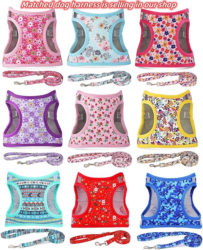 Moonpet Personalized Custom Customized Dog Collar with Engraved ID Tag Dog Name and Phone Number/Heavy Duty Adjustable Dog Collars for Puppy X-Small Small Medium Large X-Large Boy Girl Dogs