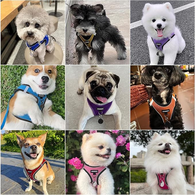 Dog Harness and Leash Set, Dog Harness for Dogs No Pull, No-Chock Step-in Reflective Breathable Lightweight Easy Walk Vest Harnesses with Safety Buckle for Small Medium Dogs, Cats (Light Blue, XXS)