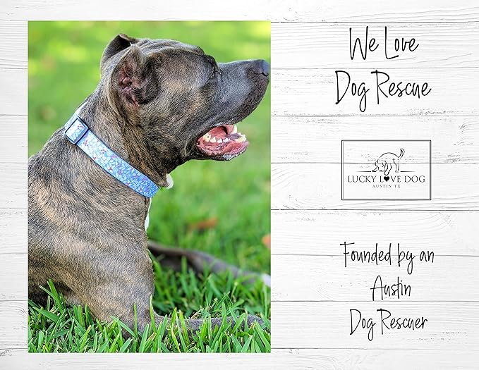 Lucky Love Dog - Adjustable Dog Collar with Easy Click Buckle for Small to Large Ones, Durable, & Comfortable for Male & Female Dogs, Pet Collar for Puppies & Adult Dogs - Winterblue, Small