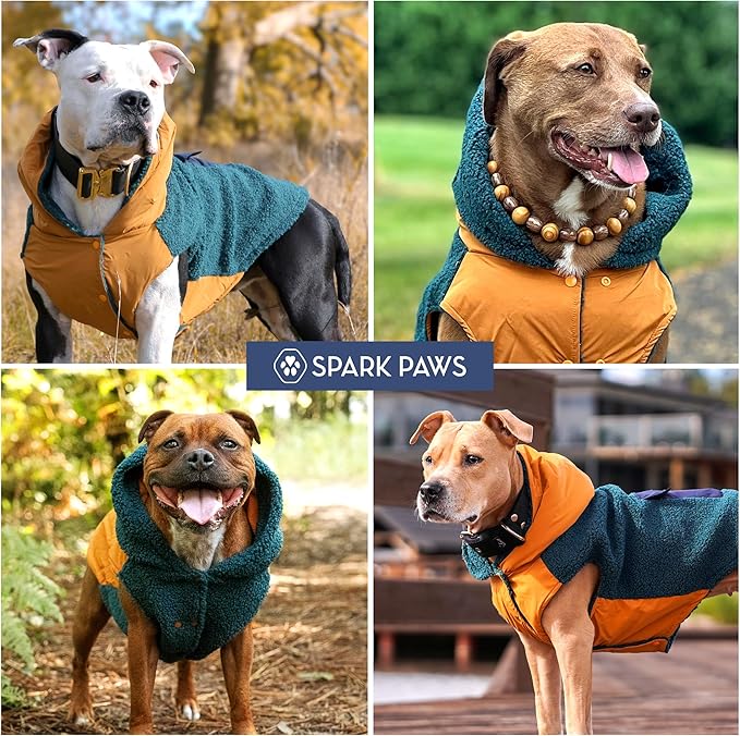 Spark Paws Reversible Dog Sweater, Sherpa Jacket Vest with Warm Fleece Lining, Warm Coat for Winter, Suitable for Small Medium, Large, XL XXL Dogs - Orange and Green - S