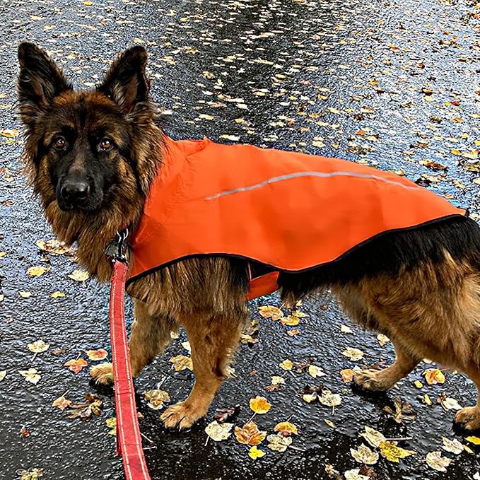 Mile High Life Dog Raincoat, Adjustable Waterproof Reflective Rain Jacket for Small Medium Large Dogs, Lightweight Breathable Pet Rain Coat with Leash Hole(Orange,L Chest 32-40")