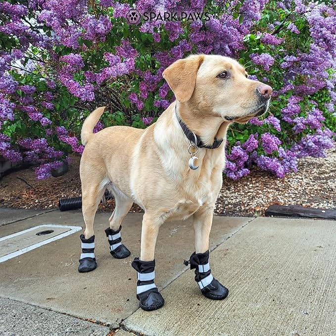 Spark Paws Dog Shoes, Waterproof Dog Boots for Medium to Large Dogs, Non Slip, Breathable Dog Booties and Paw Protectors - 4PCS Doggie Hiking Boots with Reflective Straps - Black, Size 1