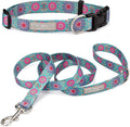 Lucky Love Dog, Boho Chic Matching Dog Collar and Leash Set, Vivid Pink and Turquoise Collar and Leash for Dogs, Soft, Adjustable, Safe for Training and Walking - (X-Small, Clara Combo)