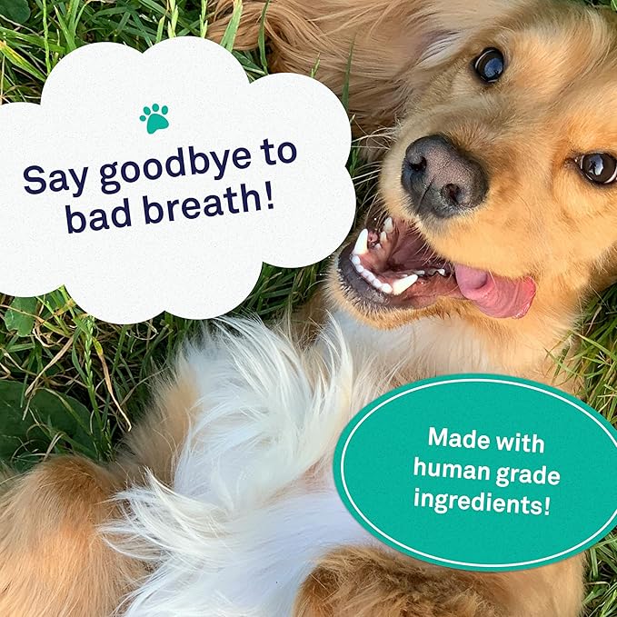 Petpost Dental Wipes for Dogs | 100 Count Presoaked Pads in Natural Tooth Cleaning Solution | Bad Breath and Tooth Buildup Remover