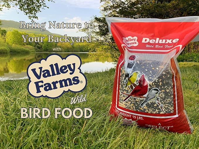 Valley Farms Deluxe Blend (4 LB) Wild Bird Food for Outside Feeders with Black Oil Sunflower Seed, Safflower Seed for Birds - Select Birdseed