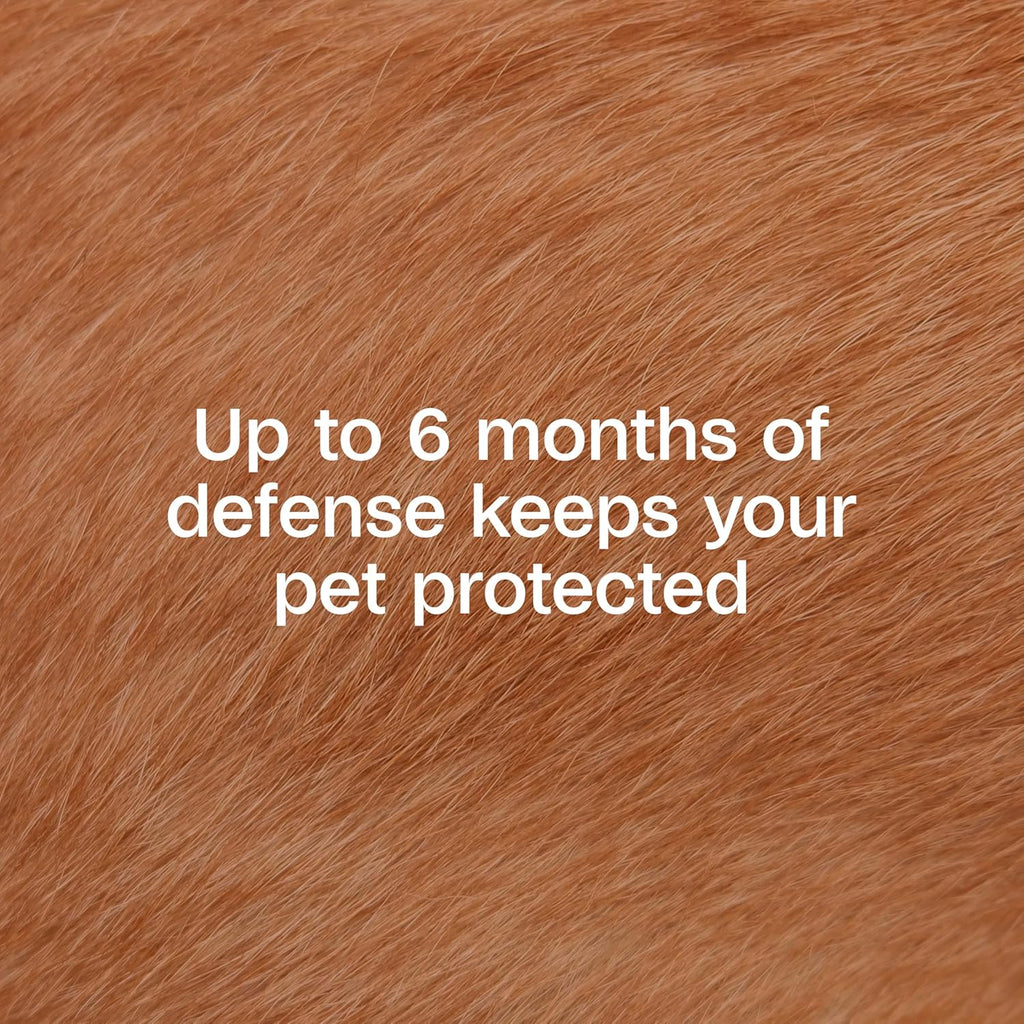 ADAMS Flea & Tick Collar for Dogs & Puppies, 2 Pack, 12 Month Protection, Adjustable One Size, Kills Fleas, Ticks & Repels Mosquitoes, Excluding California