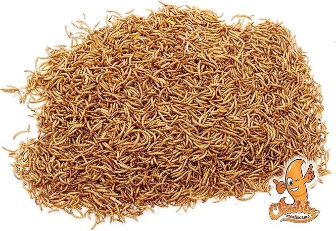 Chubby Mealworms Bulk Dried Mealworms for Wild Birds, Chickens etc. (2Lbs)