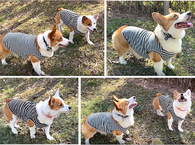 Koneseve Dog Shirt Vest Lightweight Stretchy Dog T-Shirts Soft Cool Shirts Sleeveless Stripe Vests Breathable Clothes for Puppy Kitty Cats Small Medium Large Dogs 2 Pack Black + Grey [ 4XL ]