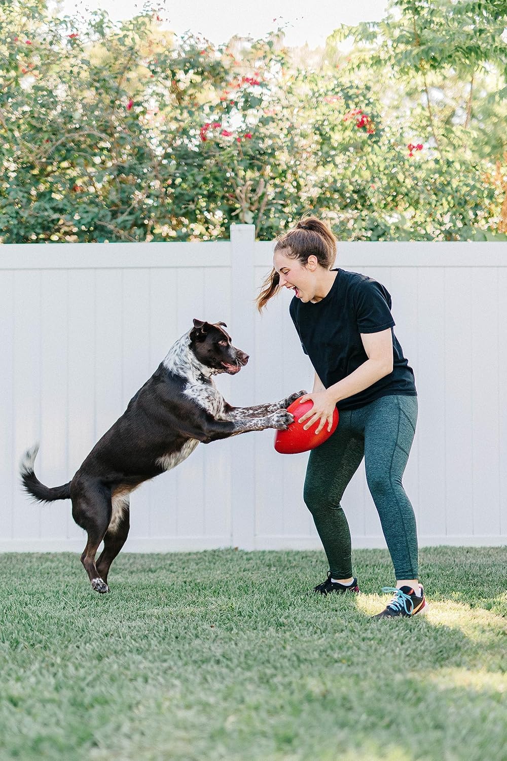 Jolly Pets Jolly Egg Dog Toy, 8 Inches/Medium, Red (JE08 RD)
