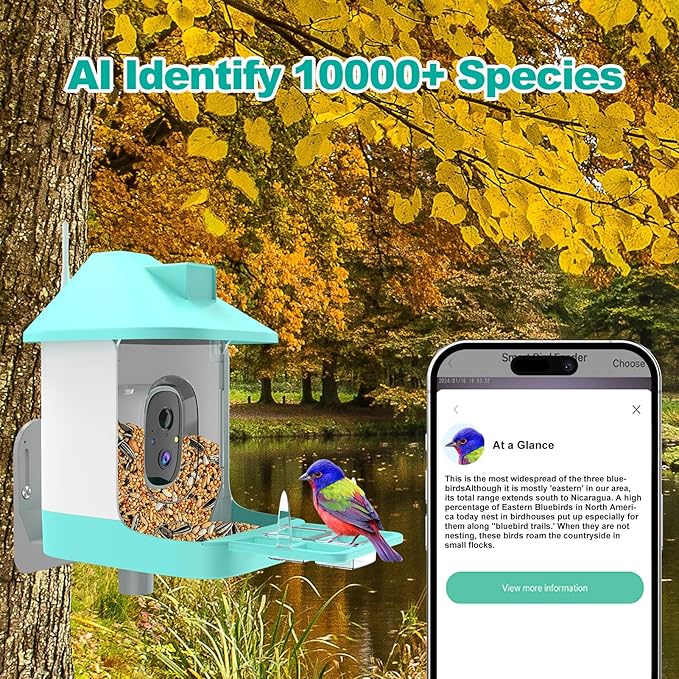 Bird Feeder with Camera,Smart Birdwatching Camera with Solar Powered,AI Identify Species,Instant Notifications,FHD Live View, Auto Record Video in Backyard,Ideal Gifts for Family and Bird Lovers,Blue