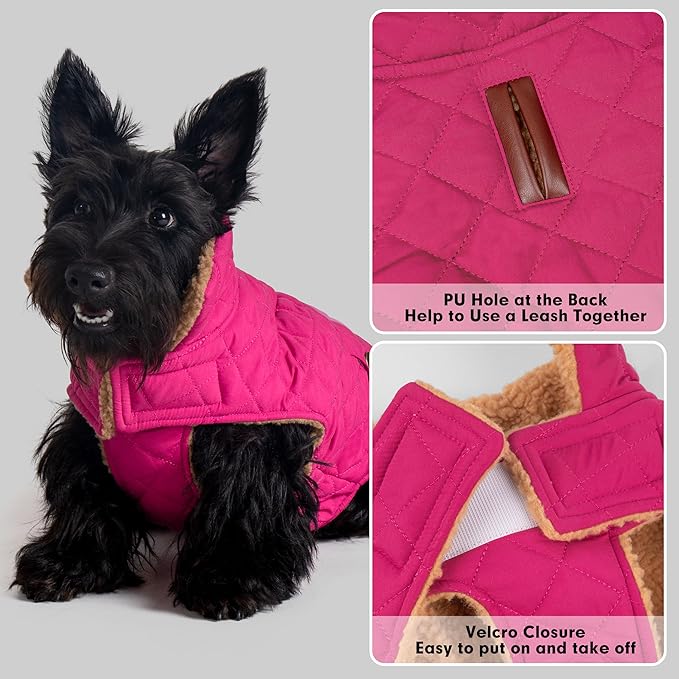 azuza Dog Jacket Waterproof & Windproof Dog Coat for Small Dogs with Thick Fleece, High Collar with Leash Hole, Adjustable Velcro & Elastic Belly, Rose Red, S