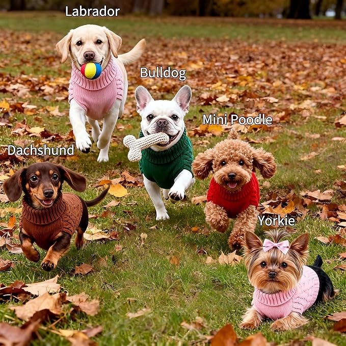 Small/Medium Dog Sweater, Warm Comfy Stretch Dog Winter Coat w/Sleeves & High Neck, Premium Dog Clothes for Schnauzer-Best for Holidays, Daily Walks M Green