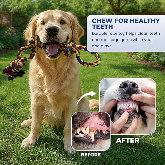 Pup Quartet Dog Rope Toy for Aggressive Chewers 2-Pack Tug of War Dog Toy with Thick Knots Heavy Duty Rop Toys for Dogs – Indestructible Rope Chew Toys for Medium & Large Dogs