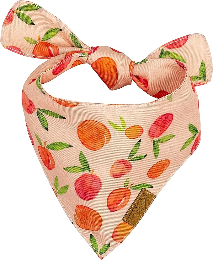 Remy+Roo Extra Large Spring Dog Bandanas - 4 Pack Katherine Set | Premium Durable Adjustable Polyester Fabric Dog Scarfs | Patented Shape Girl Dog Bandana, Trendy Patterns, Floral Dog Bandana