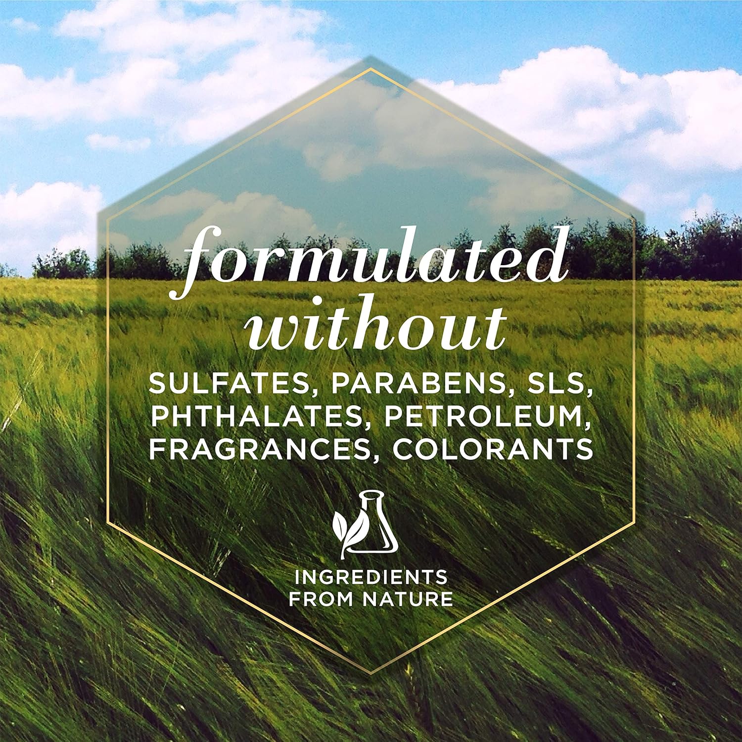 Burt's Bees for Pets Calming Dog Shampoo with Lavender and Green Tea, 95% Natural Origin Formulas, Soothing Canine Cleanser - Gentle Wash, 16 oz