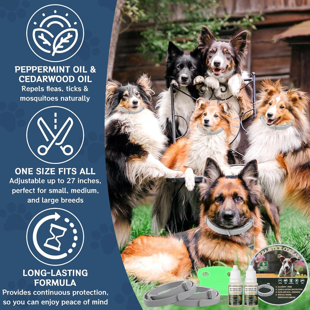 4 Pack Flea & Tick Prevention for Dogs Collar with Natural Essential Oils, Waterproof Adjustable Dog Flea and Tick Prevention Collar for Dogs, 8 Months Prevention