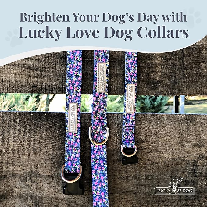 Lucky Love Dog, Comfortable, Soft, Cute Female Dog Collar for Small Dogs, Black & Purple Floral Print, Adjustable Nylon Collar, Primrose, Small