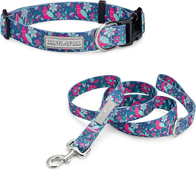 Lucky Love Dog - Adjustable Collar and Leash Set with Easy Click Buckle for Small to Large Dogs, Durable, & Comfortable Collar for Male & Female Dogs, Puppies & Adul t- CarrieBelle Combo, Medium