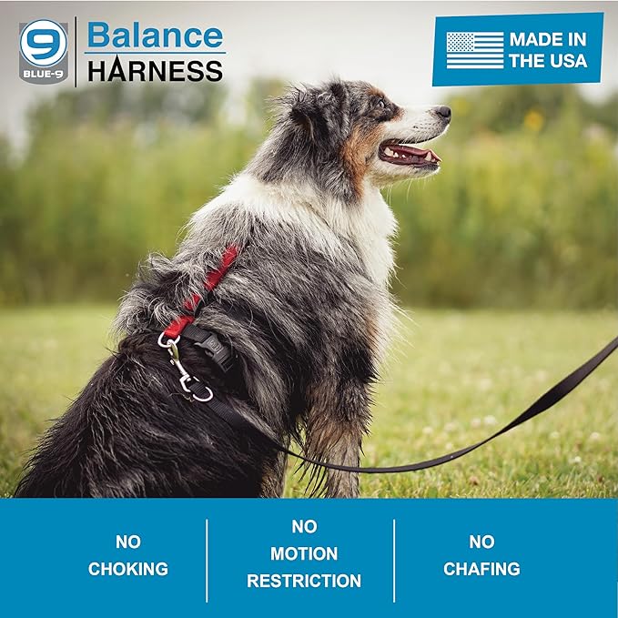 Blue-9 Buckle-Neck Balance Harness, Fully Customizable Fit No-Pull Harness, Ideal for Dog Training and Obedience, Made in The USA, Sky Blue, Medium