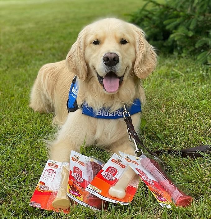 Nylabone Original Bone Power Chew Toy for Dogs, Durable & Tough Dog Toys for Aggressive Chewers, Original Flavor, Large - Up to 50 Ibs, 1 Count