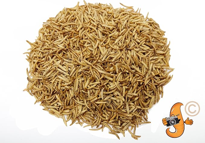 2lb Chubby Mix Mealworm & Black Soldier Fly Larvae Combo. Non-GMO Dried Insects for Chickens – High Protein Chicken Feed Meal Worms for Wild Birds & Chicken Treats for Laying Hens