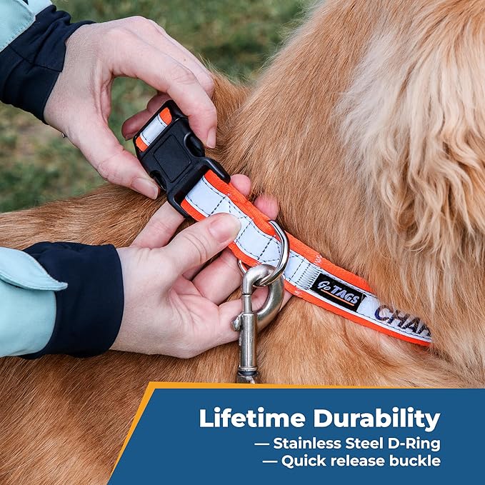 GoTags Reflective Personalized Dog Collar, Custom Embroidered with Pet Name and Phone Number in Pink for Boy and Girl Dogs, Adjustable Small