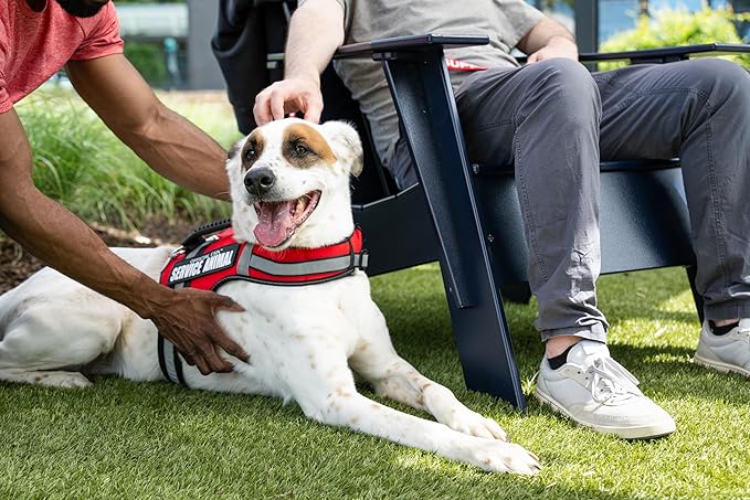 Support Pets The Only Official ESA™ Dog Harness – Adjustable No-Pull Dog Vest for Easy Pet Recognition with Reflective Straps – Soft, Padded & Comfortable for Training and Daily Use - XLarge
