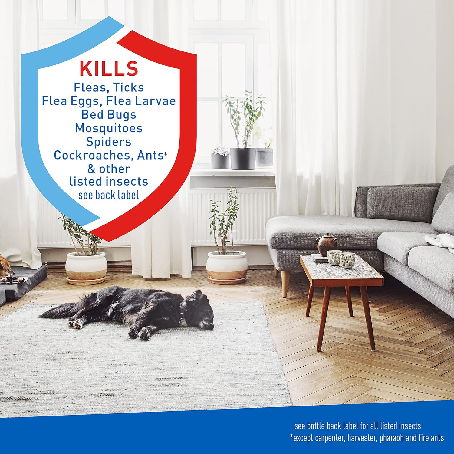 Adams Flea & Tick Home Spray with Precor, Kills Fleas, Flea Eggs, Flea Larvae, Bed Bugs, Ticks, Ants, Cockroaches, Spiders, Mosquitoes And Many Other Listed Nuisance Pests In The Home, 24 Fl Oz