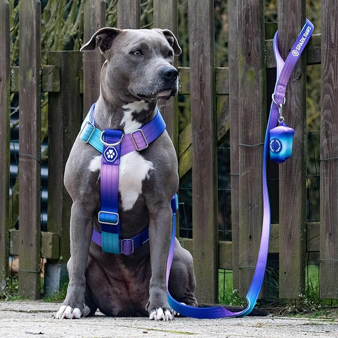 Spark Paws No Pull Dog Harness for Large Dogs, Heavy Duty Dog Harness for Big Strong Breeds, Adjustable, Y Shaped Padded Halter Design with Front Clip - 90s Retro – L