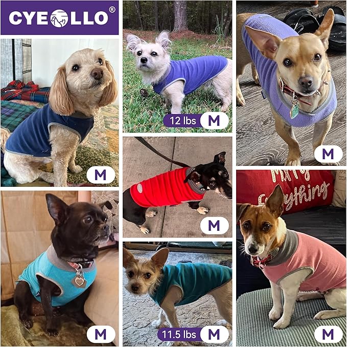 cyeollo 2 Pack Fleece Dog Sweater Pullover Dog Sweatshirt Reflective Lightweight Sweaters Pet Clothes for Small Dogs Boy Girl Pet Apparel Blue, Mist Blue, M