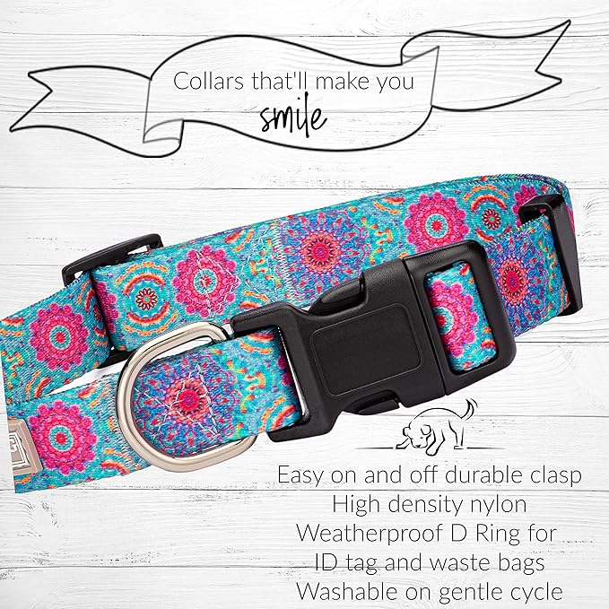 Lucky Love Dog, Boho Chic Matching Dog Collar and Leash Set, Vivid Pink and Turquoise Collar and Leash for Dogs, Soft, Adjustable, Safe for Training and Walking - (Medium, Clara Combo)