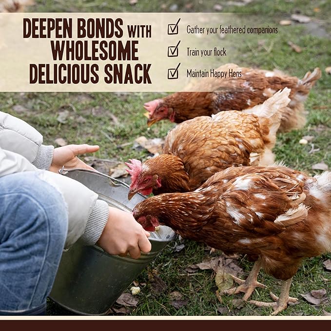 Dried Mealworms for Chickens, Birds, Hamster, Reptile and Turtle - Premium Non-GMO Treats with 55% Protein for Laying Hens - Organic Food for Wild Bird, Bluebirds, Robins, Cardinals. 5 Lb