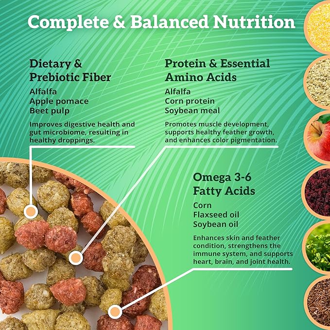 Scenic Allprem Canary and Finch Bird Food | Formulated Diet | Apple and Corn Flavor (2 lb (Pack of 2))