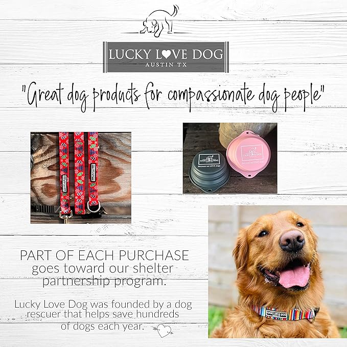 Lucky Love Dog - Adjustable Dog Collar with Easy Click Buckle for Small to Large Ones, Durable, & Comfortable for Male & Female Dogs, Pet Collar for Puppies & Adult Dogs - Chilly, Small