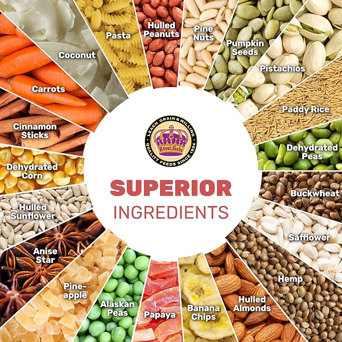 Large Hookbill Cuisine 4 Lbs, Premium Blend Bird Seed for Large Parrots, Cockatoos & Macaws, Parrot Bird Food with Mixed Fruits and Vegetables, Supports Brain, Growth, and Healthy Balanced Diet