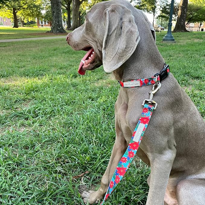 Lucky Love Dog - Adjustable Dog Collar with Easy Click Noel for Small to Large Ones, Durable, & Comfortable for Male & Female Dogs, Pet Collar for Puppies & Adult Dogs - Noel, Large