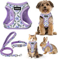 GAMUDA Small Dog Harness Collar and Leash Set, Step in No Chock No Pull Soft Mesh Adjustable Dog Vest Harnesses Plaid Reflective for Dogs Puppy Cats Kitten Rabbit (Purple Flower, XXXS)
