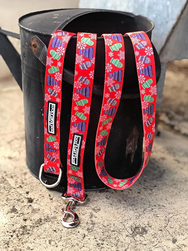 Lucky Love Dog, Winter Stocking Caps and Mittens Dog Collar and Leash Set, Matching Snowflakes Collar and Leash for Male and Female Dogs - (Extra Small, Chilly Combo)