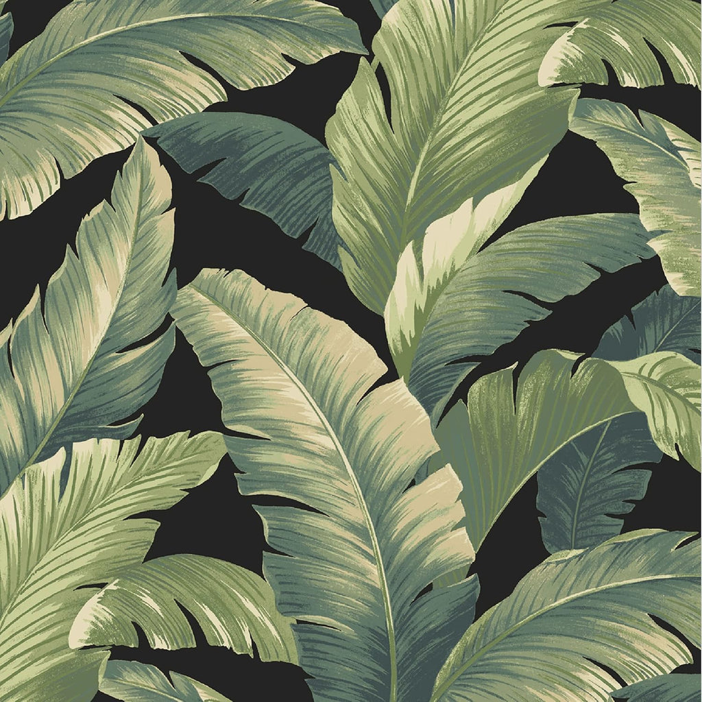 Arden Outdoor Chair Cushion, 21 x 20, Rain-Proof, Fade Resistant 21 x 20, Onyx Cebu