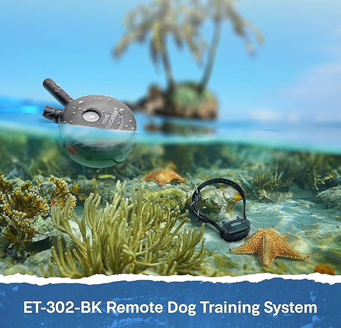 Educator ET-302 BK - 1/2 Mile Rechargeable Dog Trainer Ecollar with Remote for Small, Medium, and Large Dogs by E-Collar Technologies - Electric, Vibration, Tone, and Stimulation Training Collar