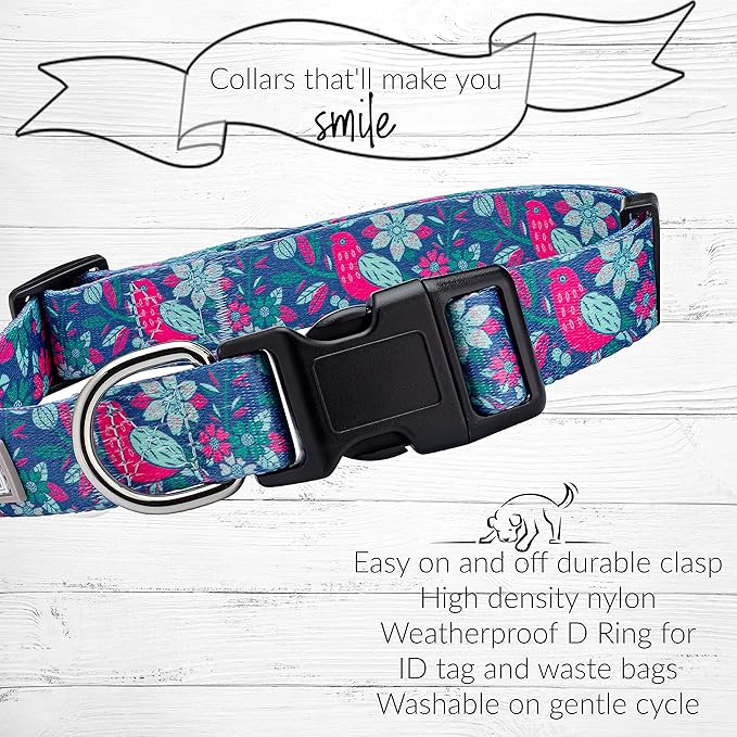 Lucky Love Dog - Adjustable Dog Collar with Easy Click Buckle for Small to Large Ones, Durable, & Comfortable for Male & Female Dogs, Pet Collar for Puppies & Adult Dogs - Carriebelle, XS