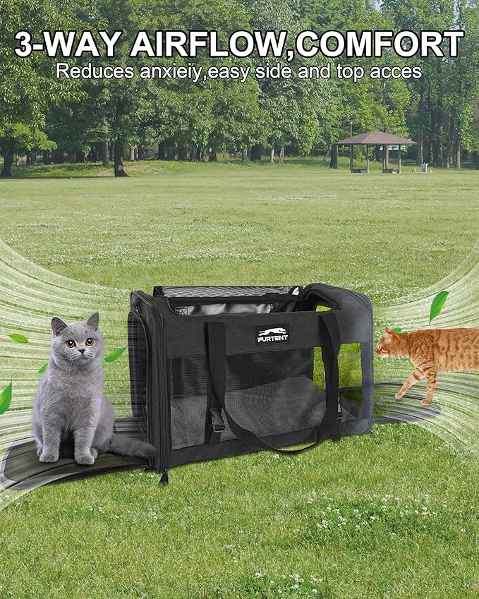 Soft-Sided Large Cat Carrier for 2 Cats, Spacious Foldable Pet Travel Carrier for Large Cats up to 25 Lbs, Double Cat Bag with Shoulder Strap, 20x13x13 Inch, Fits Maine Coon and Small Dogs, Black