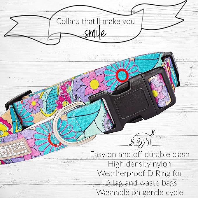 Lucky Love Dog Collar and Leash Combo, Cute Collar and Leash Set for X-Small Female Dogs, Part of Purchase Donated to Rescue (XS, Caroline, Combo)